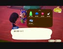 【日刊実況】めちゃくちゃゆるいあつまれどうぶつの森part16