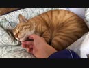 指をはみはみ