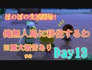 ほのぼのと無人島で生活していく！Day13【あつまれ！どうぶつの森】