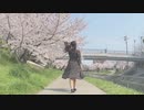 【ちびすけ】翡翠のまち　踊ってみた【桜】