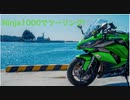 Ninja1000でツーリング！伊豆2020その3天城越え~石廊崎