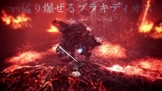 【MHW:I】vs猛り爆ぜるブラキディオス ダンテの魔剣・改【ありあり盾斧】