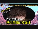 さいたま見沼田圃の桜並木　ボギー大佐の言いたい放題　2020年03月28日　21時頃　放送分