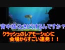 背中掻くときどうするんですか？クラッシュレアモーション【タートルトーク】東京ディズニーシー