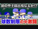 【激闘】初の甲子園出場を掴み取ることはできるのか！？鍵は球数制限の攻略！【パワプロ2019 栄冠ナイン ダイヤのA 真•青道高校編#11】【実況パワフルプロ野球】【AKI GAME TV】