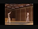 Different martial arts match