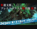 【最初からFF14実況】新生！果てまで遊ぶぜ エオルゼア！#24.5
