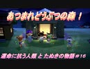 【あつ森】前人未島へようこそ！#16【あつまれどうぶつの森】