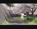 【木星ガール】さようなら、花泥棒さん 踊ってみた