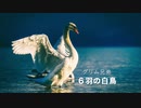 【朗読】グリム童話「６羽の白鳥」【睡眠導入/寝落ち用BGM】