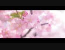 DIGM「Kirschbaum」16th MV