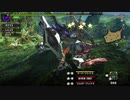 ＭＨＸＸを実況プレイする　その４８