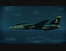 Ace Combat Assault Horizon - F-14D Super Tomcat Part3