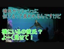 彼氏がクラッシュに似てるって言われるんですけど【タートルトーク】東京ディズニーシー