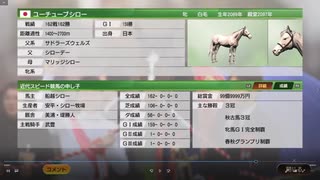 162戦162勝した白毛馬でオンライン対戦に挑んでみた！ウイニングポスト2020【PS4版】