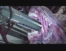 [PC]バイオハザード RE3 インフェルノラスボス　特典武器・アイテムなし
