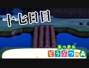 【実況】橋の場所を決めようか【あつまれ どうぶつの森】十七日目