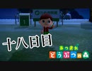 【実況】お家の場所どうしようかな【あつまれ どうぶつの森】十八日目
