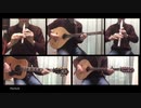 家の楽器ぜんぶ弾く CHRONO CROSS 演奏動画