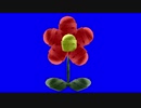 希望の花と化したタチャンカBB
