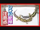 【増えた子はどうする？】レオパを繁殖する際に注意したい事【重要です！】