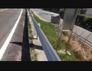 #七原くん 20200405「モーニング潮干狩り！」米無(in三河鳥羽,潮干狩りやってなく徒歩で山越え,下町ウォーキング) #七原浩平