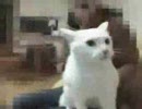 噛み付き朔太郎