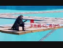 【フォートナイト】天空城～天空の覇者～【ゆっくり実況】