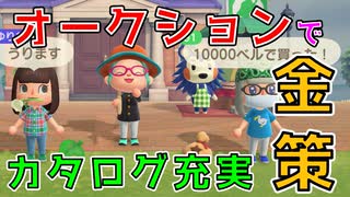 【あつまれどうぶつの森】オークションで金策とカタログ埋めを同時にする方法！【あつ森オークション】