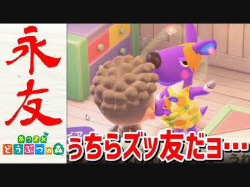 【実況】まかせろ！おとこぎの森 part13【あつまれ どうぶつの森】