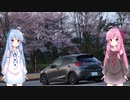 【15MB車載】琴葉姉妹のノープラン・リエゾン＃４（朝桜の兼六園・金沢城公園）