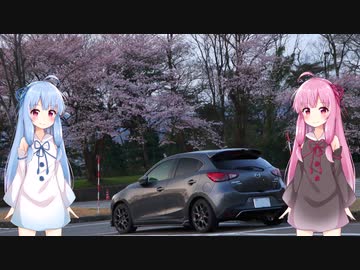 【15MB車載】琴葉姉妹のノープラン・リエゾン＃４（朝桜の兼六園・金沢城公園）