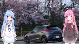 【15MB車載】琴葉姉妹のノープラン・リエゾン＃４（朝桜の兼六園・金沢城公園）