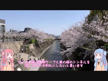 【VOICEROID車載】Ninjaに乗った茜ちゃん　その2【Ninja250】