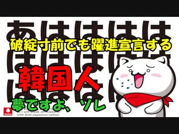 欧米が「躍進する韓国」への牽制なんだってさｗ