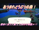 【あつ森】前人未島へようこそ！#17【あつまれどうぶつの森】