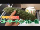 【沖縄料理】ゴーヤーチャンプルー作ってみたよ！(^O^)