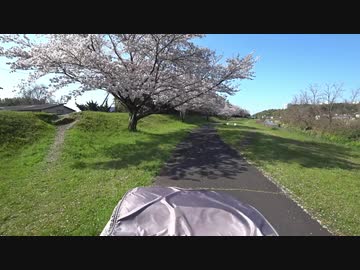 いつもと違う通勤路