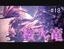【実況】独りで狩りつくすMHWI [part18]