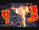 【Bloodborne】｜高難易度ブラッドボーン｜凄惨な獣｜【初見実況】part19