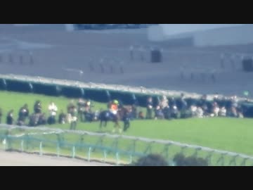 【現地？観戦】2020年 大阪杯・ラッキーライラック（ミルコ・デムーロ）