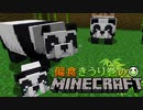 偏食きうり巻のMinecraft【実況】４０日目
