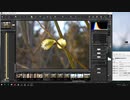 Nikon　RAW現像録画
