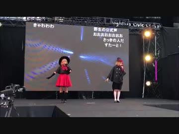 【ステージパフォーマンス】池袋ハロウィンコスプレフェス【うさみけP】