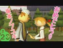 隠れた名作！どこでもいっしょ・トロと流れ星を実況プレイ その23