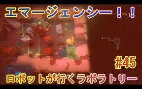 【 初めてのテラリウム】void tRrLM(); //ボイド・テラリウム　part45