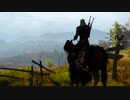 （プレイ動画）積みゲー多すぎてやる事が出来ない人の為のThe Witcher: Wild Hunt Part5