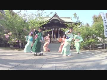 【踊ってみた】『紅蓮華』(LiSA/鬼滅の刃) アニソン日舞「あにちぶ」