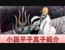 BLEACH ブレソル実況 part1721(キャラクター紹介:第213回小説版平子真子紹介)