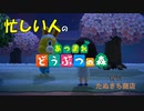 【あつまれどうぶつの森】忙しい人のためのあつ森実況【5日目】